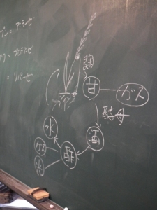 講義では発酵の仕組みを黒板で説明
